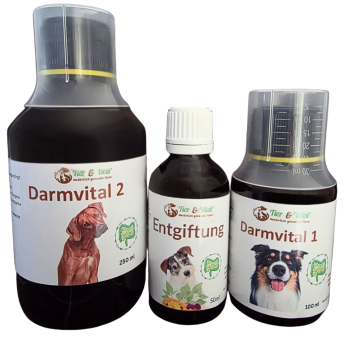 Entgiftungskur für Hunde